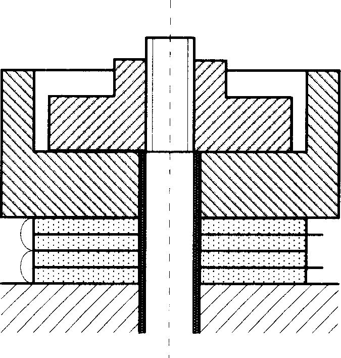 Differential piesoelectric two dimension acceleration sensor