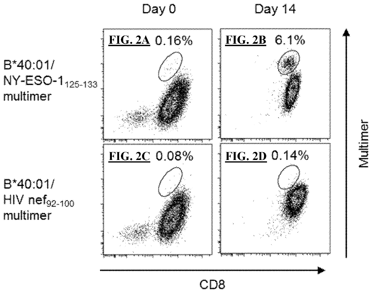 T cell receptors and methods of use thereof