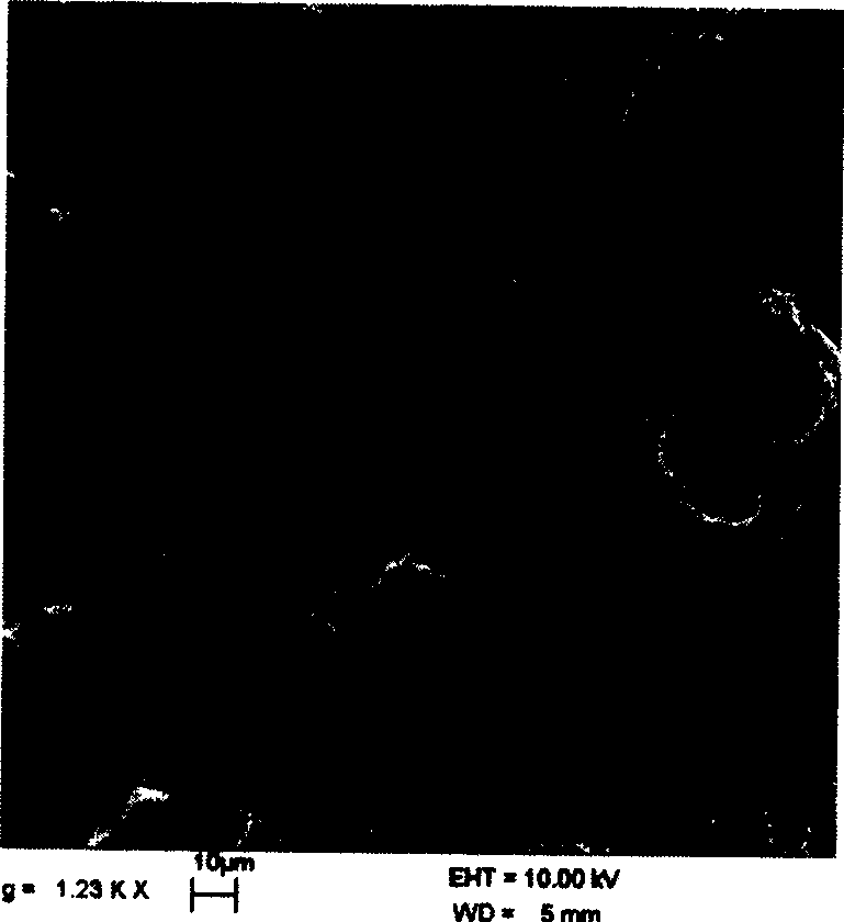 Conducting fiber containing nano car bon tube and its prepn. method