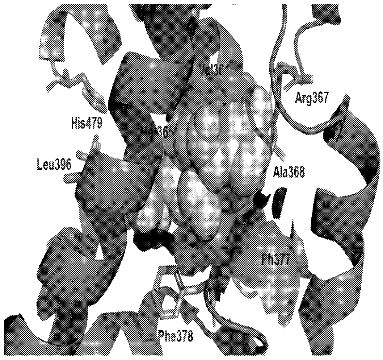 Substituted 2,3-dihydro-1<i>H</i>-inden-1-one retinoic acid-related orphan nuclear receptor antagonists for treating multiple sclerosis