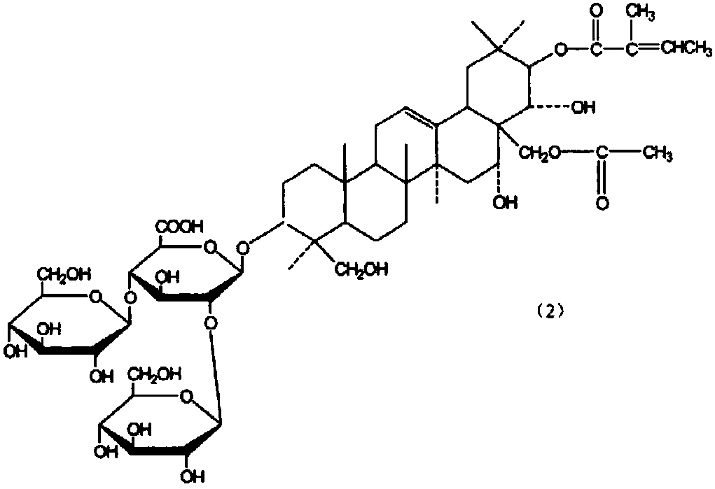 Horse chestnut extract gel, as well as preparation method and application thereof