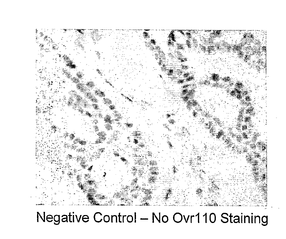 Ovr 110 Antibody Compositions and Methods of Use