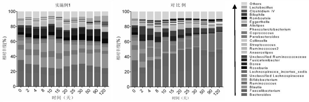 Fermentation method and application of human intestinal flora