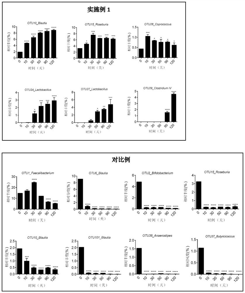 Fermentation method and application of human intestinal flora