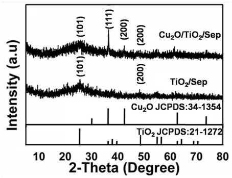 A kind of preparation method and application of clay modified electrode