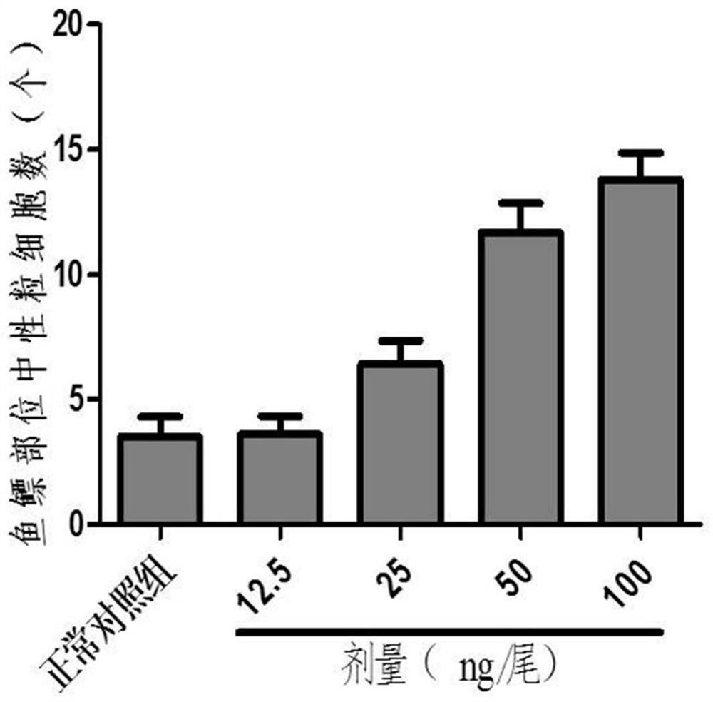 Method for evaluating preventing effect of drug on viral pneumonia