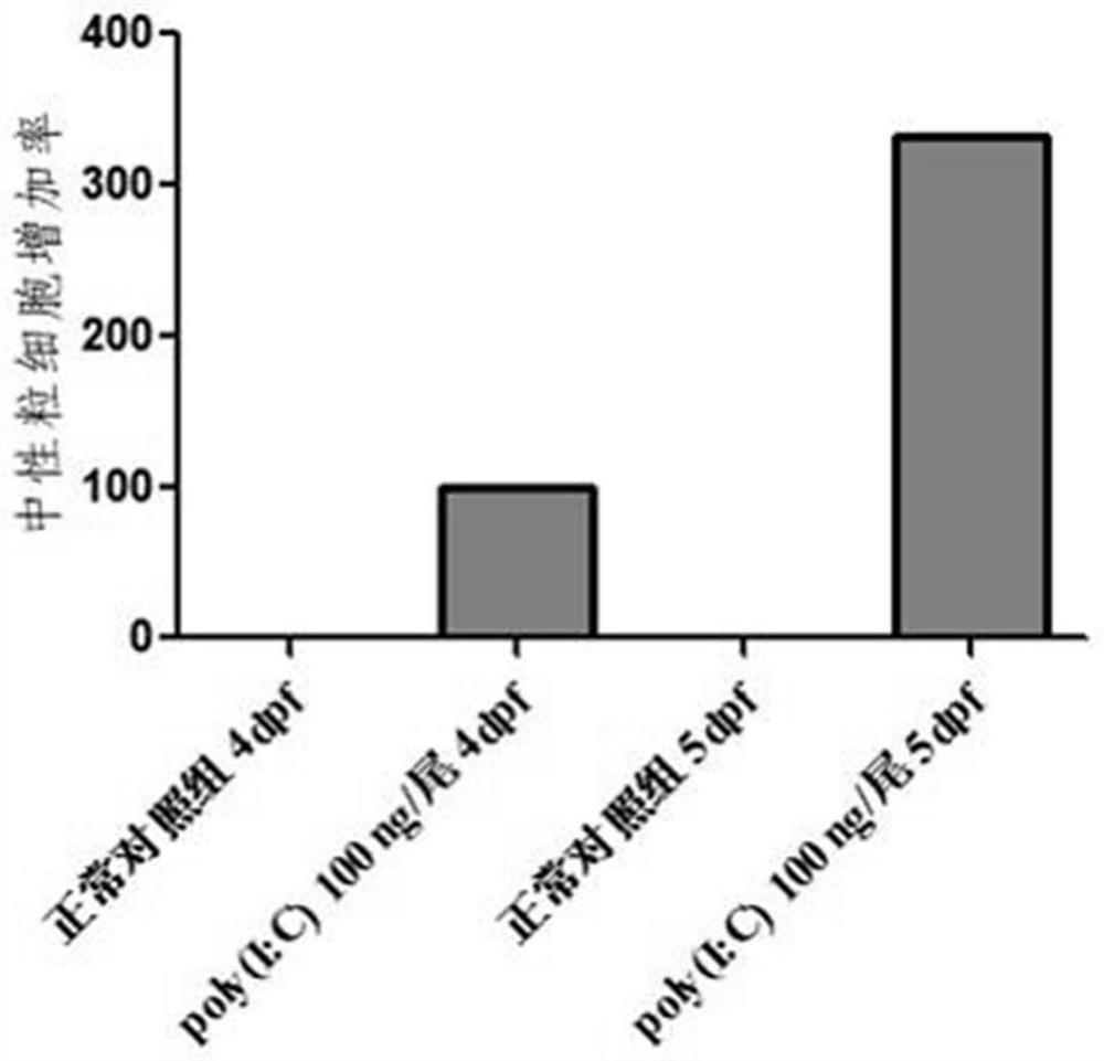 Method for evaluating preventing effect of drug on viral pneumonia