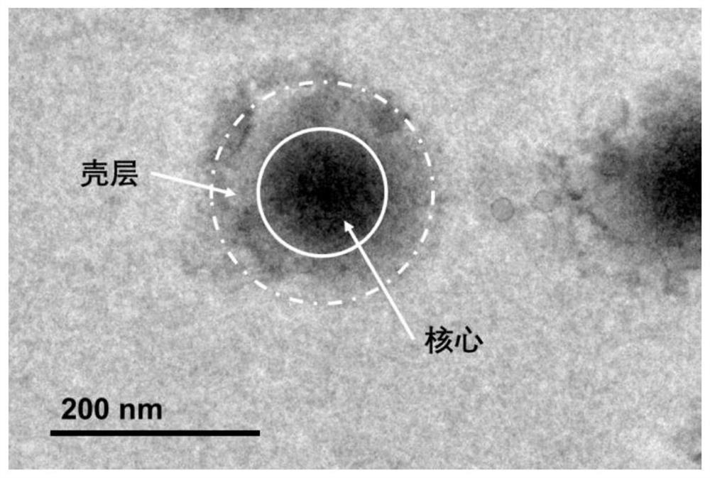 Preparation method and application of shell-core fluorine-containing polymer nano-emulsion