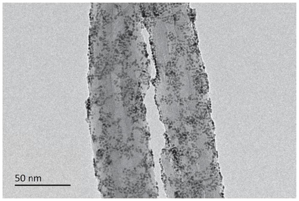 Anti-antipolar PtIr/CNT catalyst for proton exchange membrane fuel cell and preparation method of anti-antipolar PtIr/CNT catalyst