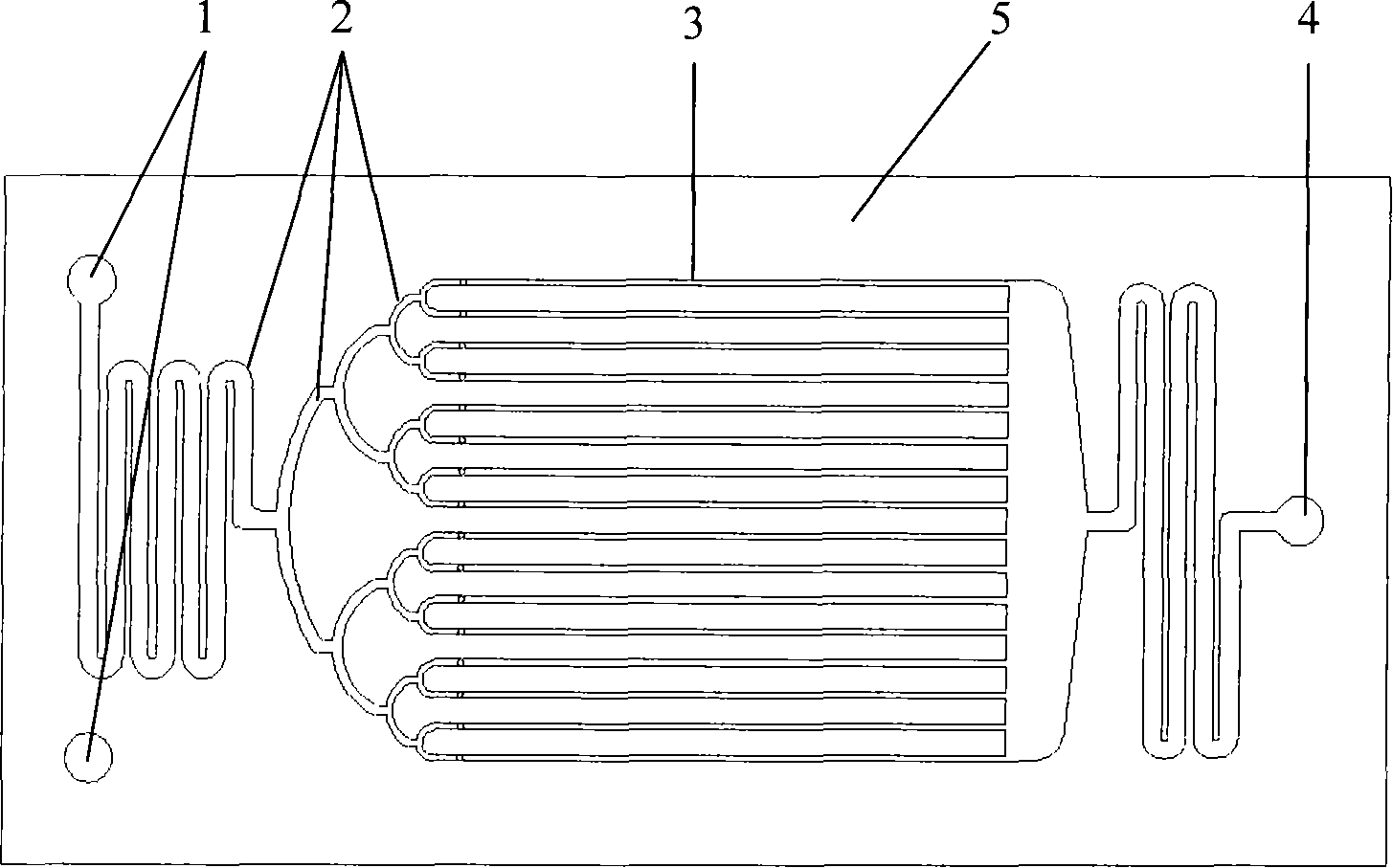 Dinitrochlorobenzene synthesis method and microreactor