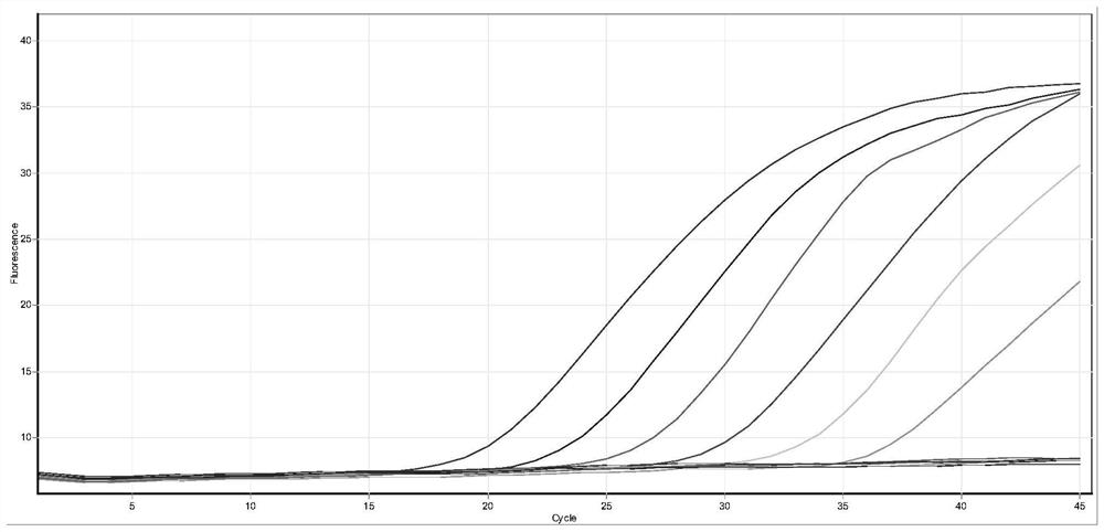 Novel coronavirus Omicron mutation sequence detection technology based on multiple fluorescent quantitative ARMS-PCR technology and application thereof