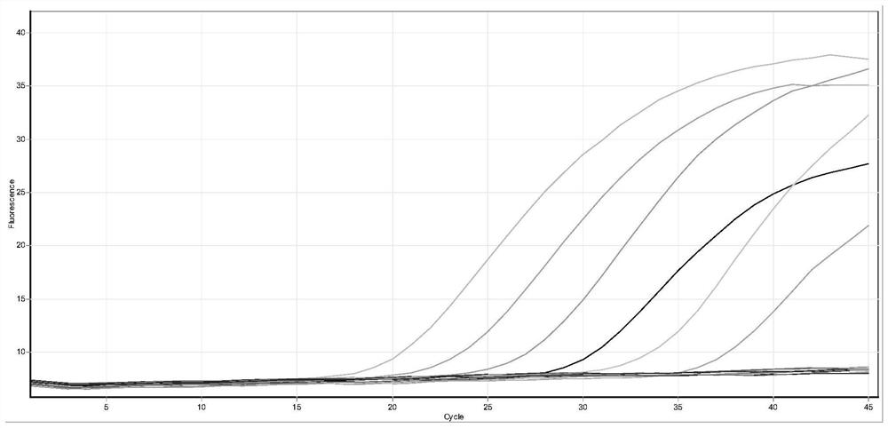 Novel coronavirus Omicron mutation sequence detection technology based on multiple fluorescent quantitative ARMS-PCR technology and application thereof