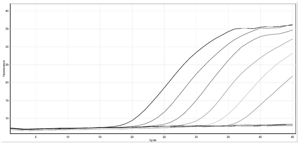 Novel coronavirus Omicron mutation sequence detection technology based on multiple fluorescent quantitative ARMS-PCR technology and application thereof