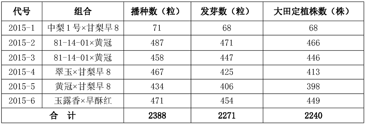 A kind of method of improving pear hybrid seed germination rate and seedling rate