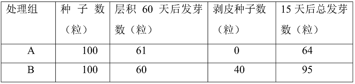 A kind of method of improving pear hybrid seed germination rate and seedling rate