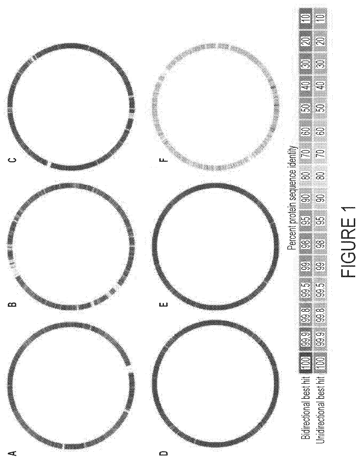 Systems and methods for treating a dysbiosis using fecal-derived bacterial populations