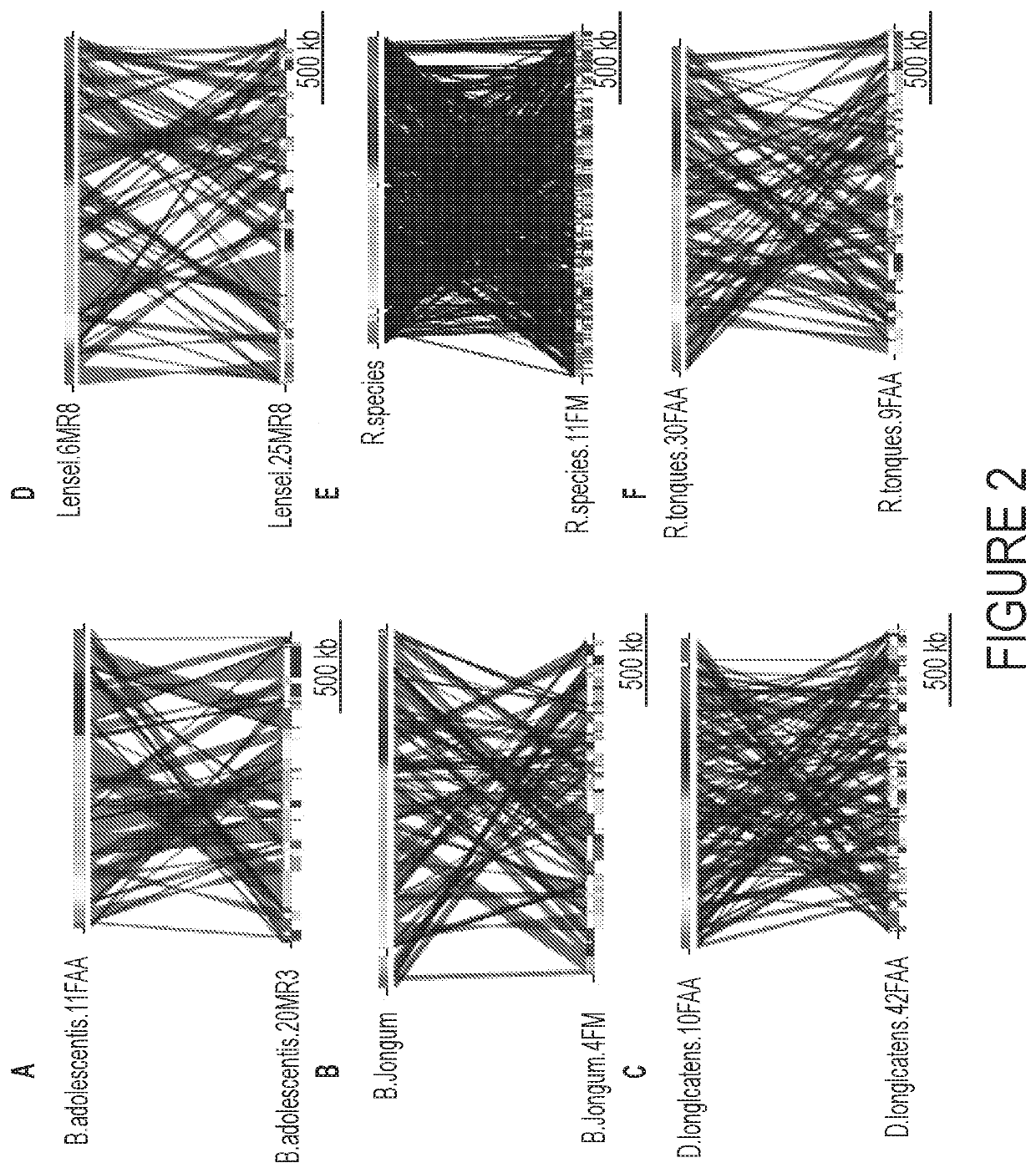 Systems and methods for treating a dysbiosis using fecal-derived bacterial populations