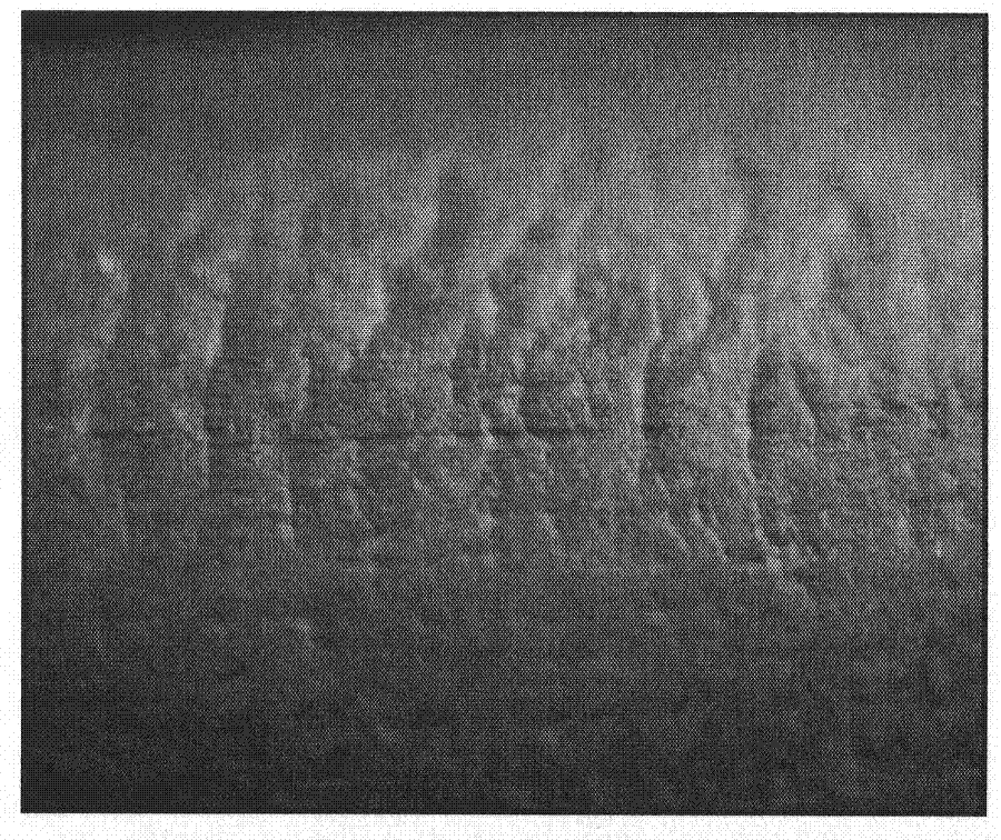 Novel glass lubricant of stainless steel extruded tube