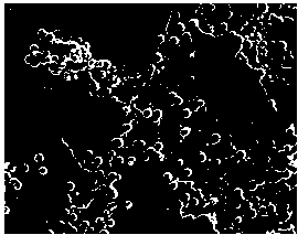 Graphene-nickel-phosphorus chemical plating liquid, and preparation method and application thereof