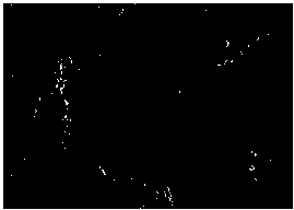 Graphene-nickel-phosphorus chemical plating liquid, and preparation method and application thereof