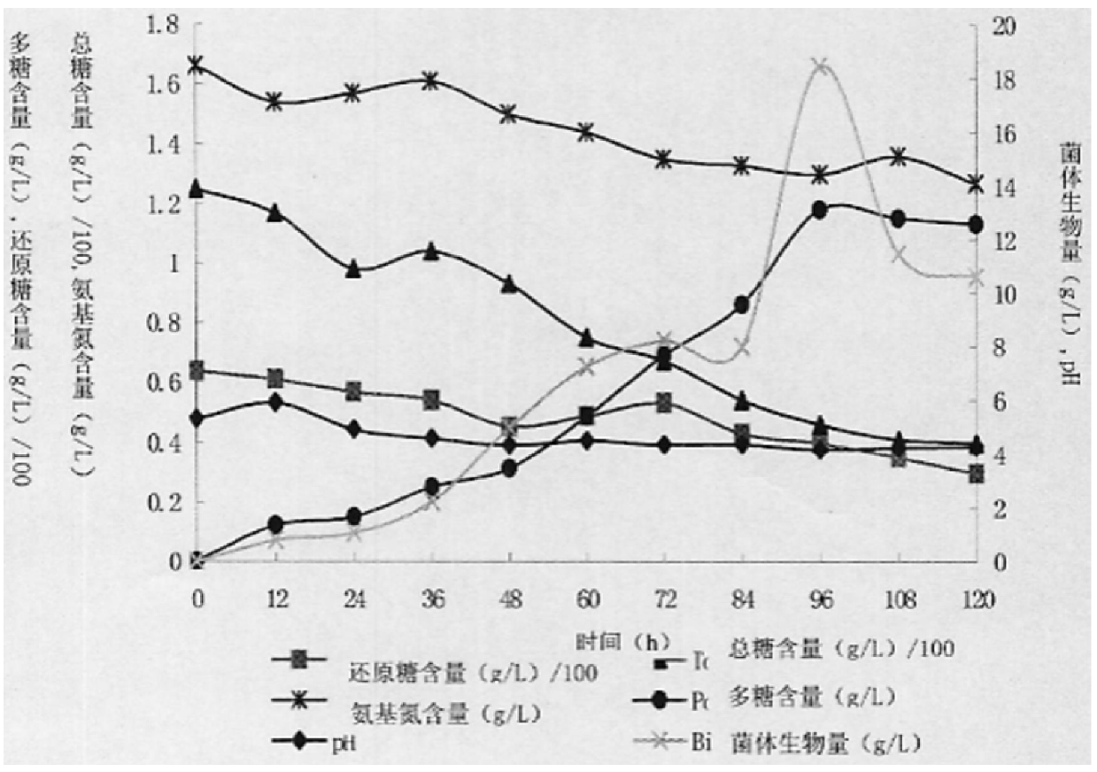 Schizophyllum anoxic-resistant fermented product and its fermentation method and culture medium