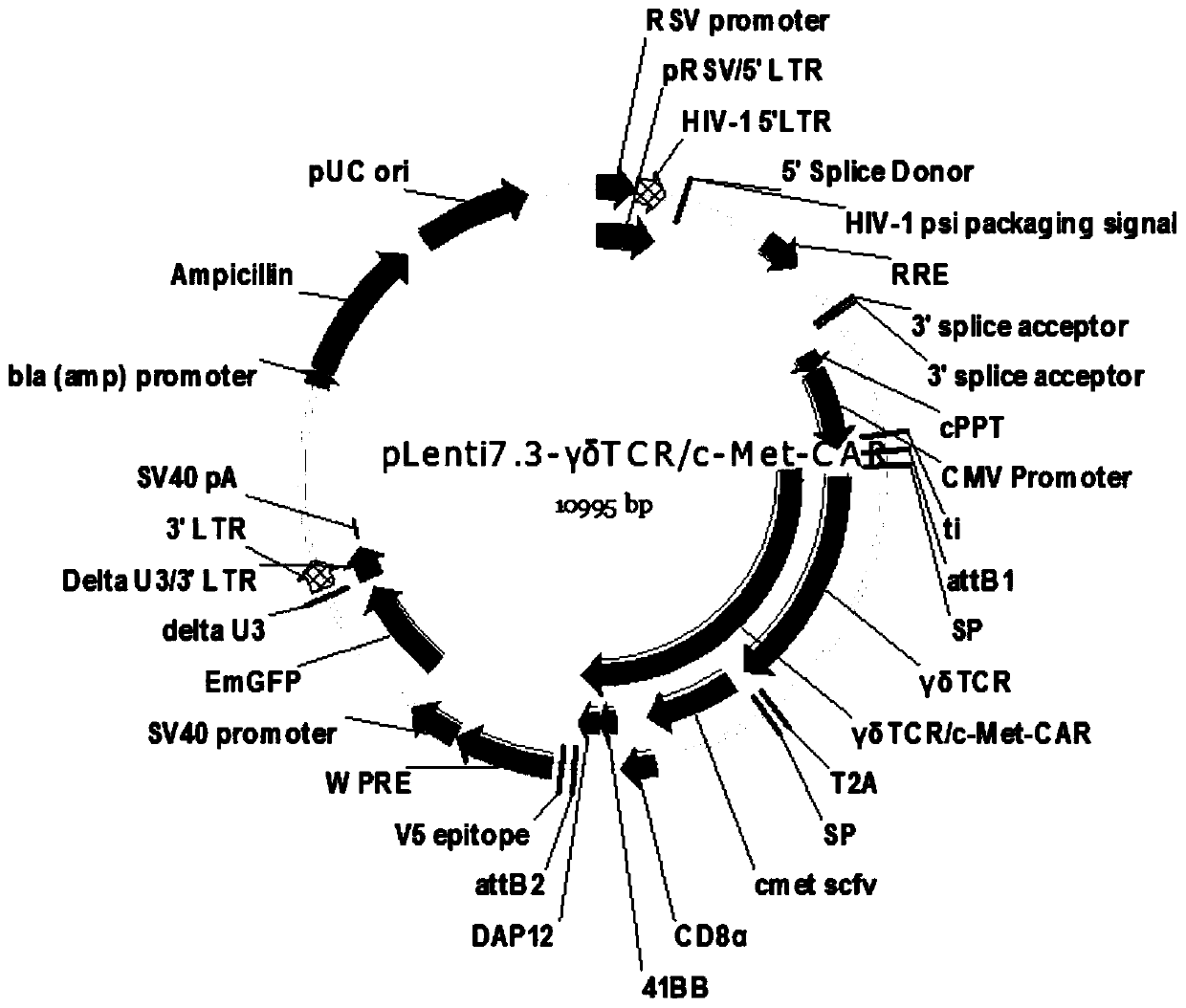 Multi-signal chimeric antigen receptor and its expression gene, its modified nk cell and application