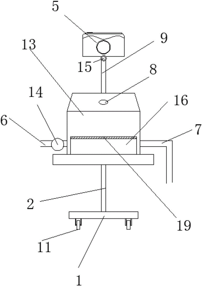 Animal specimen making device