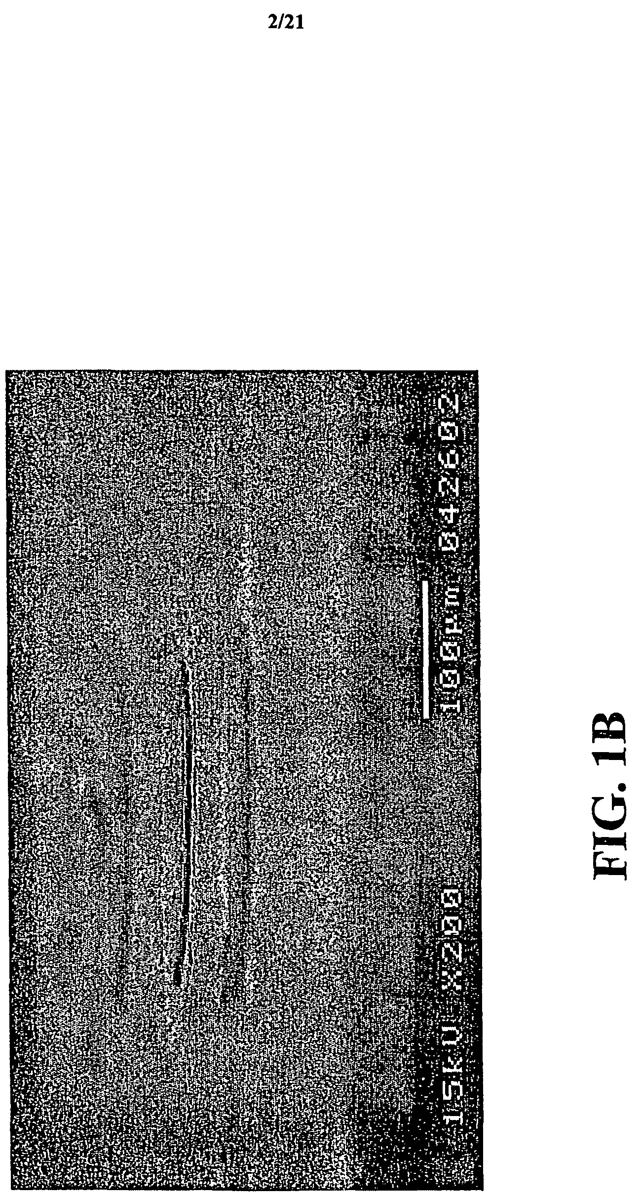 Thin film optical detectors for retinal implantation and methods for making and using same