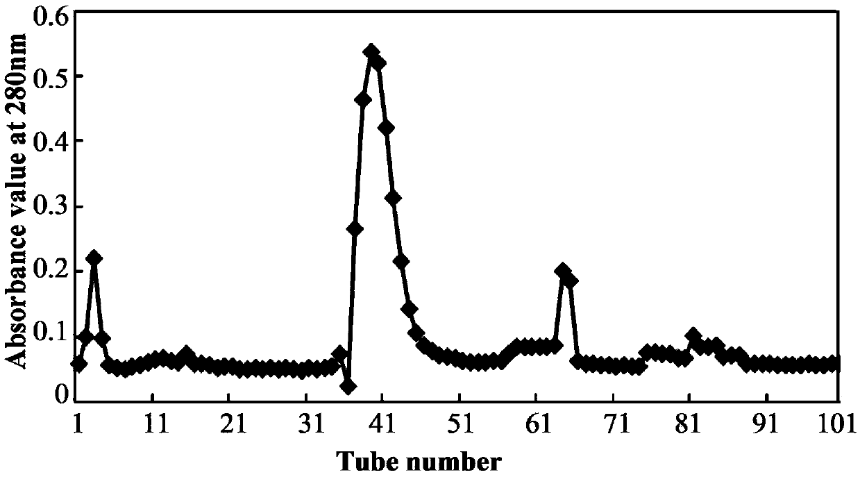 Protein as well as separating method thereof and application thereof