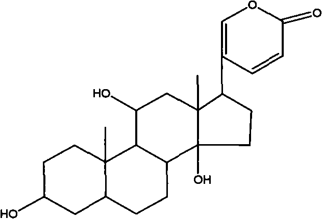 Application of Gamabufotalin and salt thereof in preparing medicament for treating gynaecologic tumor