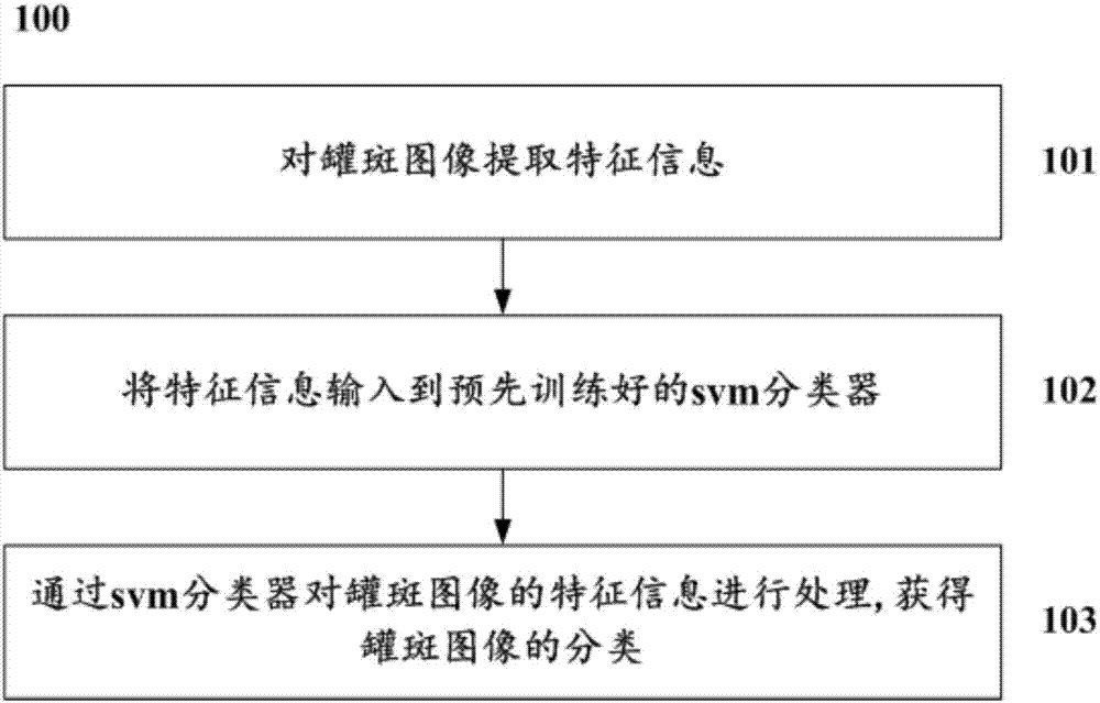 Method and system used for processing cupping patch image feature