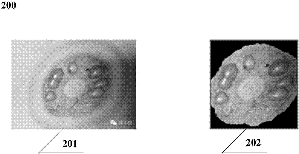 Method and system used for processing cupping patch image feature