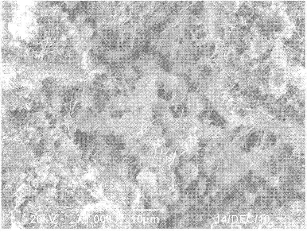 Synchronous denitrification and dephosphorization bio-filter packing and preparation method thereof