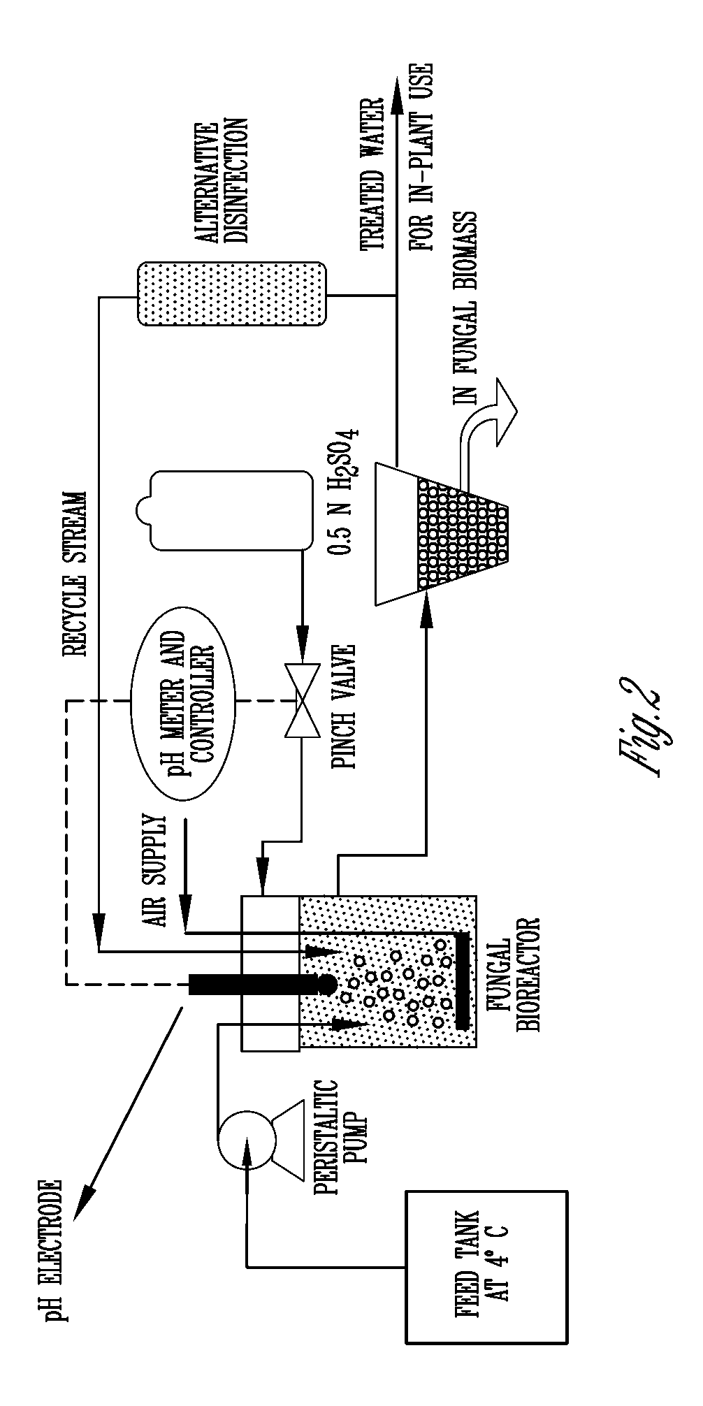 Purification of thin stillage from dry-grind corn milling with fungi