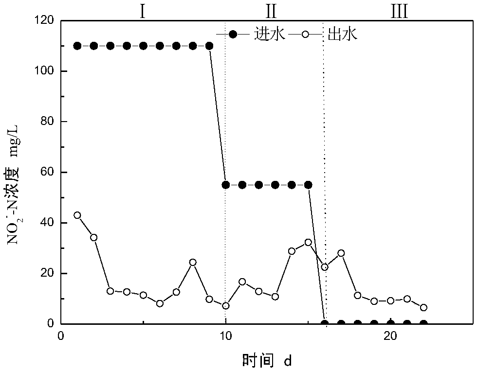 A kind of rapid start method of canon denitrification process