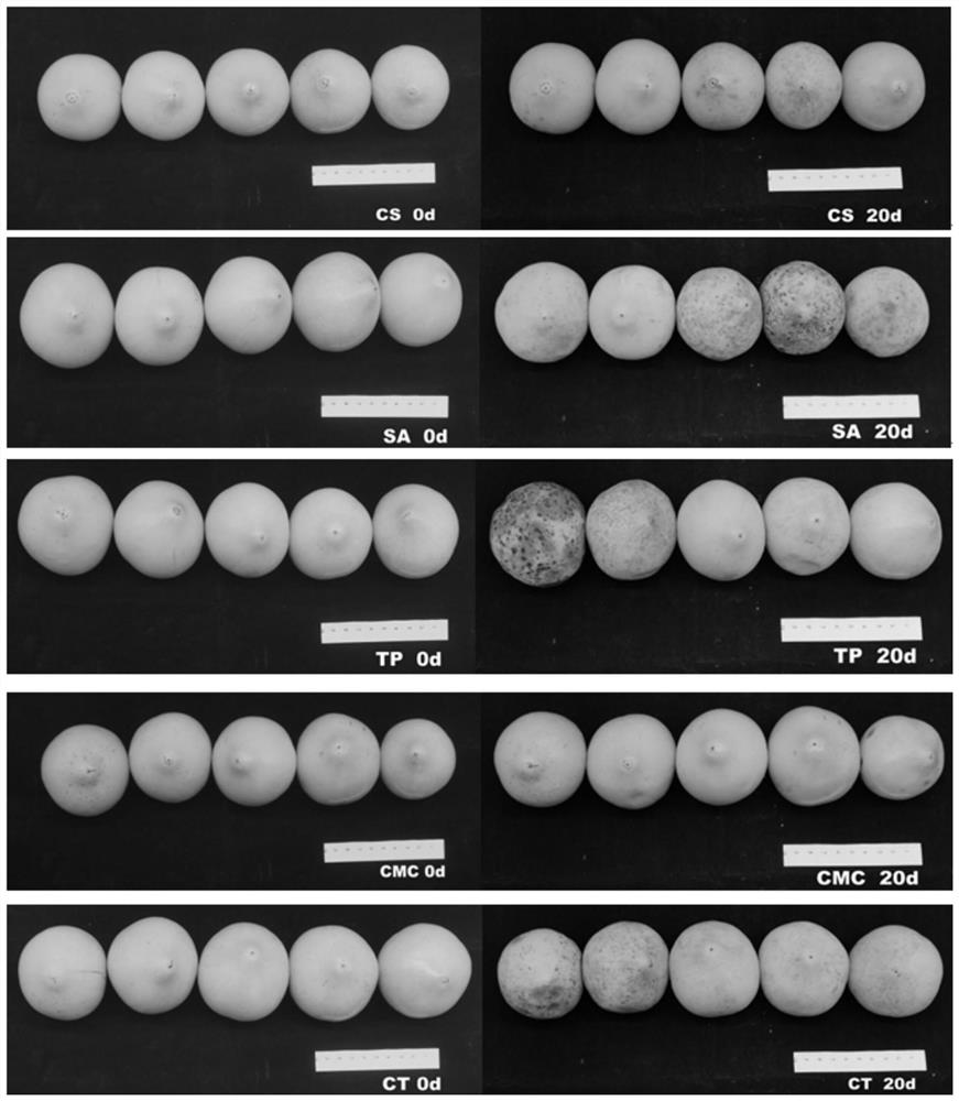 A kind of egg yolk fruit preservative and preservation method thereof