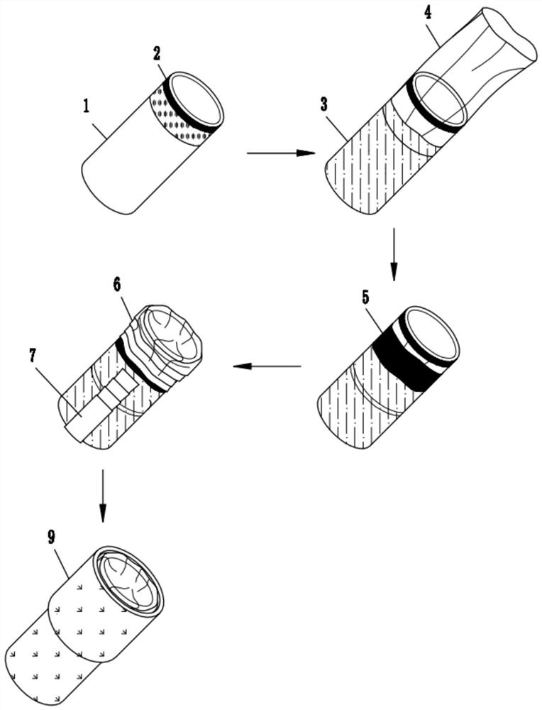 Disposable shoe cover wearing device for pet dog