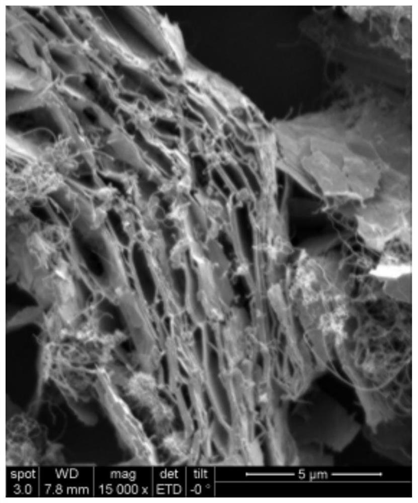 Oriented assembled graphene, graphene-carbon nanotube composite heat conduction film and preparation method thereof