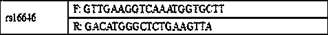 44 InDels locus composite amplification detection kit for forensic individual identification of degradation samples