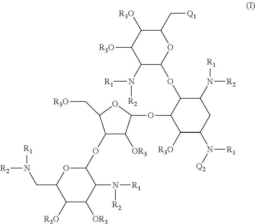 Antibacterial aminoglycoside analogs