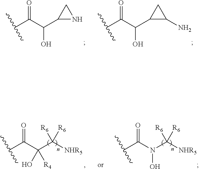 Antibacterial aminoglycoside analogs