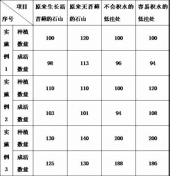 Method for planting dendrobium officinale on rocky desertification land