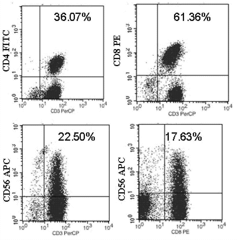 Application of CIK (cytokine induced killer) cell loaded by anti-CD3/anti-CD133 bispecific antibody