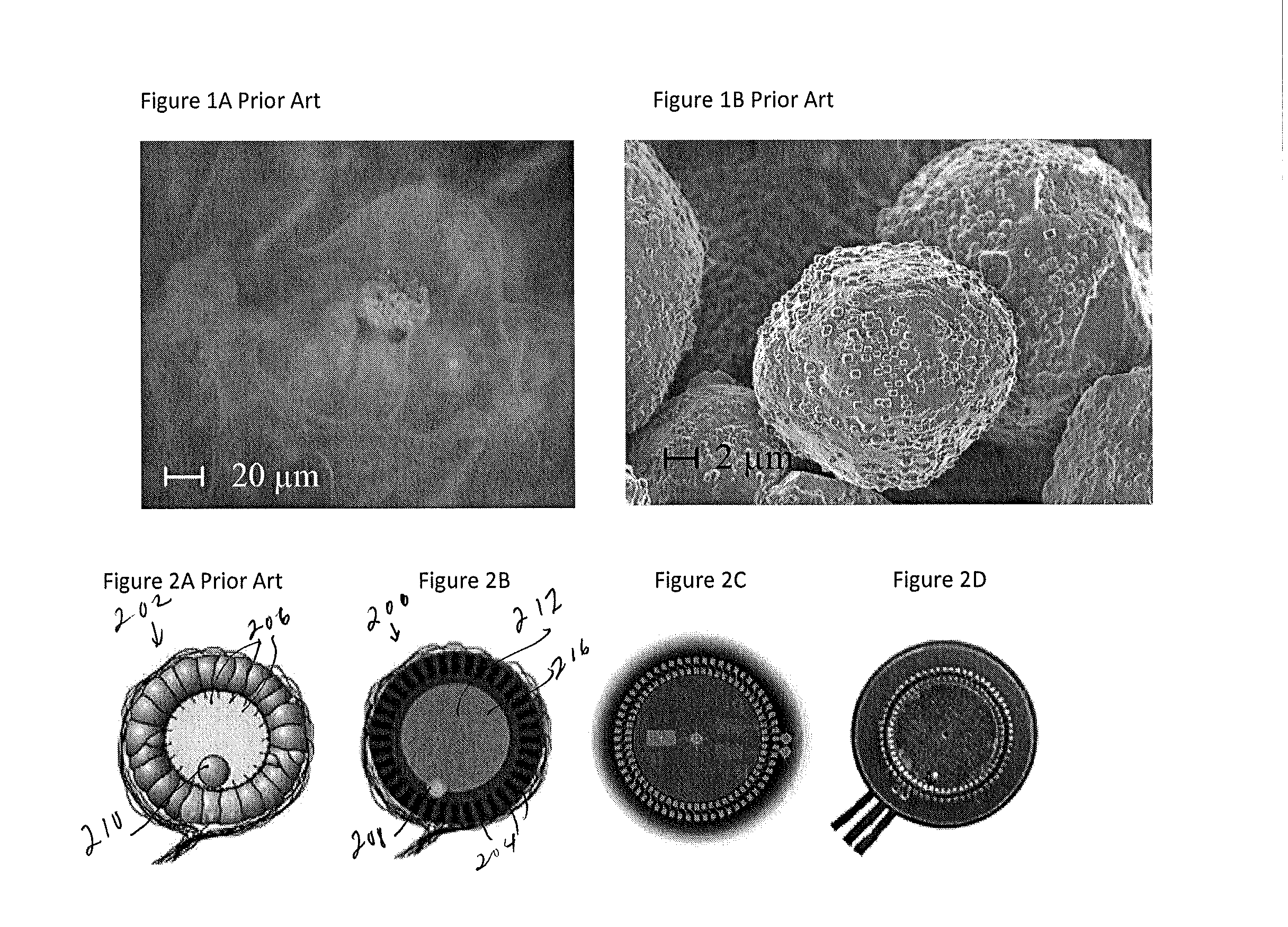 Jellyfish-inspired tilt sensor and artificial mesoglea