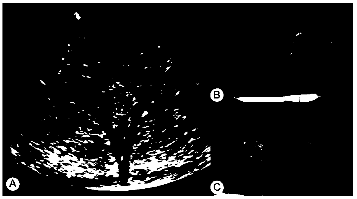 A phantom model with a tree-like pipeline structure