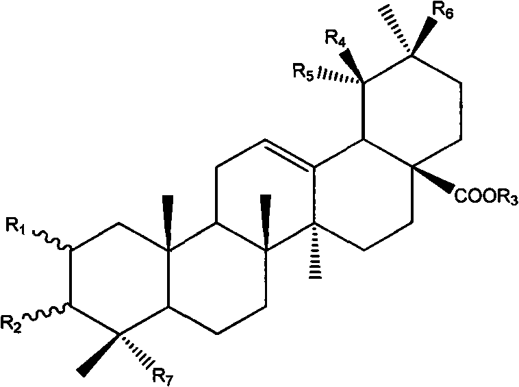 Cherokee rose leaf extract and application thereof in preparing medicine capable of curing burn and scald