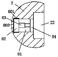 Convenient dust removing device