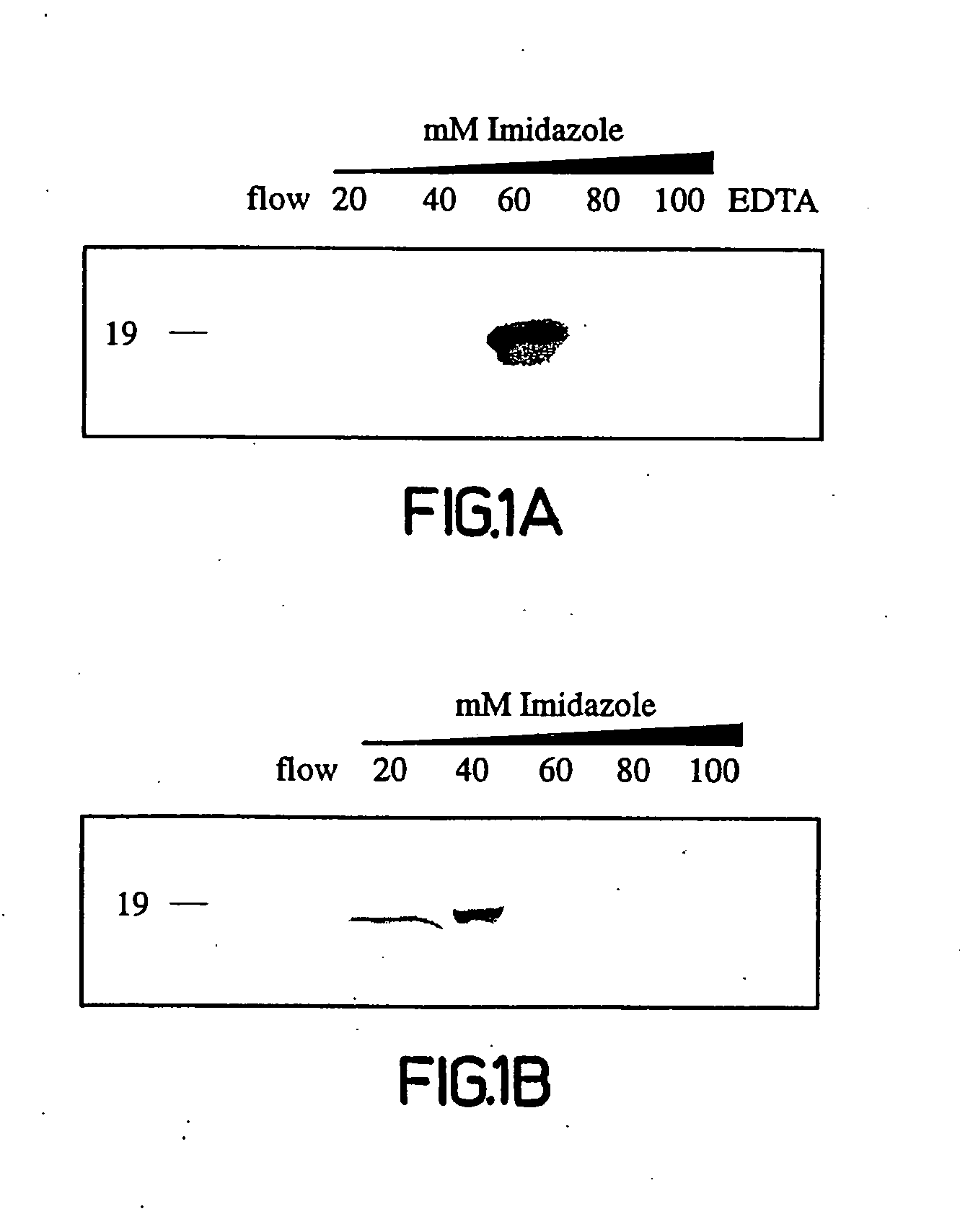 Copper-dependent non-traditional pro-inflammatory cytokine export and methods, compositions and kits relating thereto