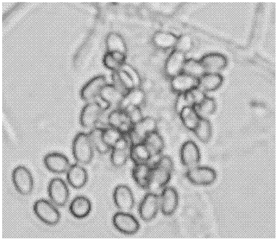 Trichoderma longibrachiatum strain and application thereof