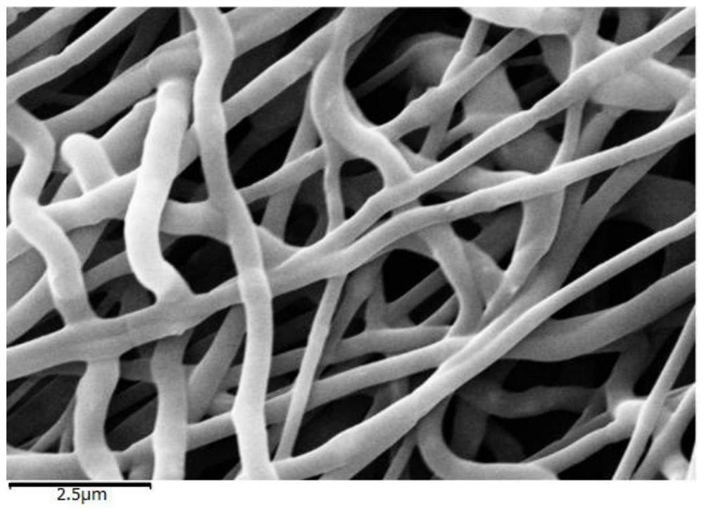 Preparation method and device of water-soluble polymer/inorganic nano-powder composite fiber, lithium ion battery negative electrode material and preparation method